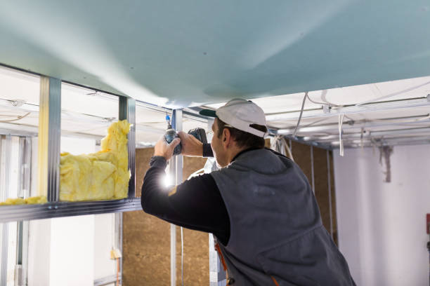 Best Spray Foam Insulation in Perryton, TX